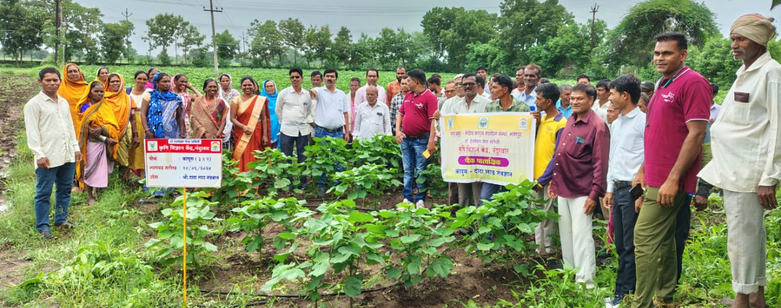 27 July NSDC Training