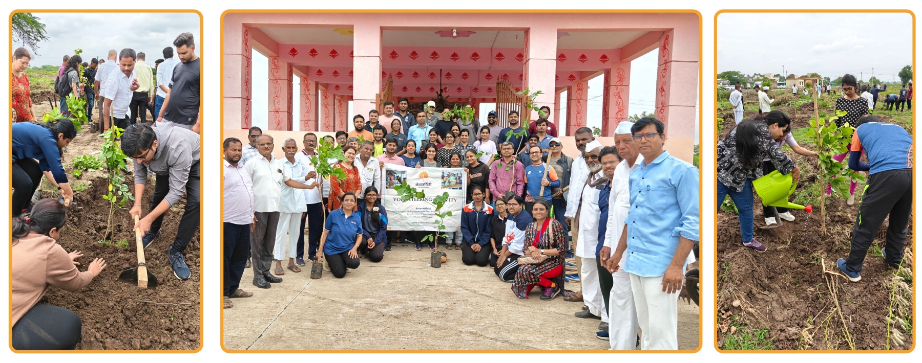HSBC - Tree Plantation Activity 